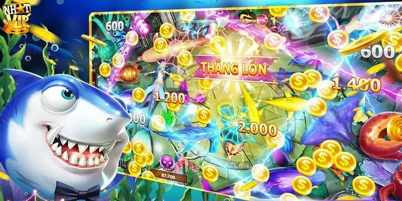 Lựa chọn súng bắn cá và một vài lưu ý quan trọng cần nhớ