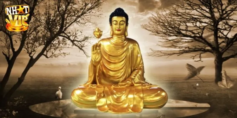 Mơ Thấy Tượng Phật - Giải Mã Ý Nghĩa Con Số Cùng Nhatvip